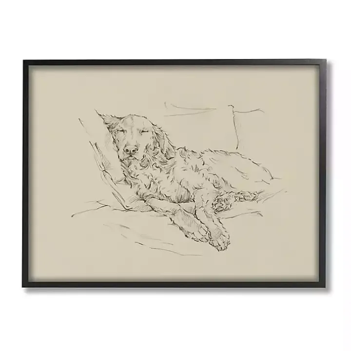 Fluffy Retriever Napping Dog Framed Canvas Print