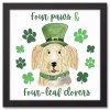 Four Paws and Clovers Framed Canvas Art Print