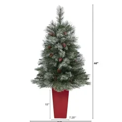 French Alps Mountain Pine Tree in Red Planter