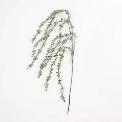 Frosted Draping Eucalyptus Stem