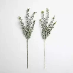 Frosted Eucalyptus Stems, Set of 2