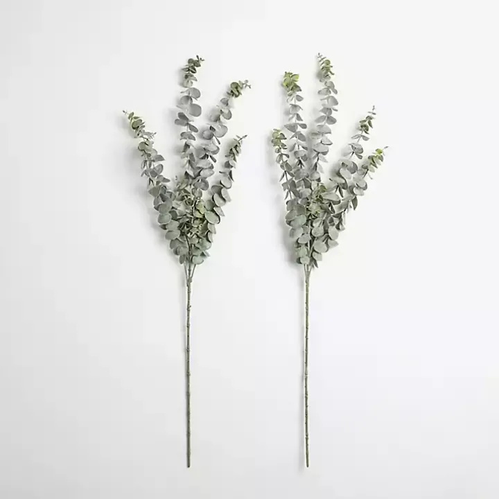 Frosted Eucalyptus Stems, Set of 2