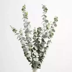 Frosted Eucalyptus Stems, Set of 2