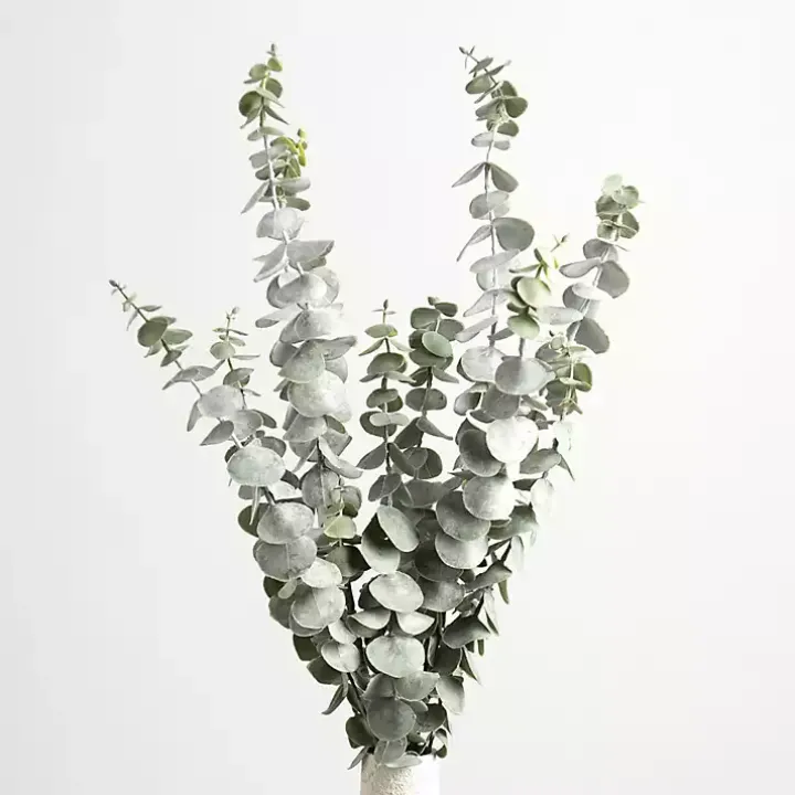 Frosted Eucalyptus Stems, Set of 2