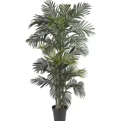 Golden Cane Palm Silk Tree, 6.5 ft.