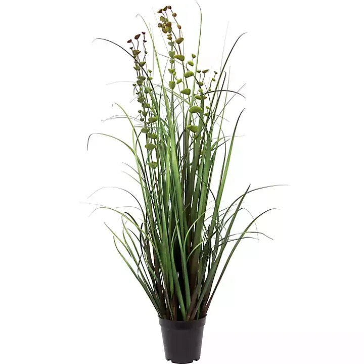Grass and Eucalyptus Potted Plant