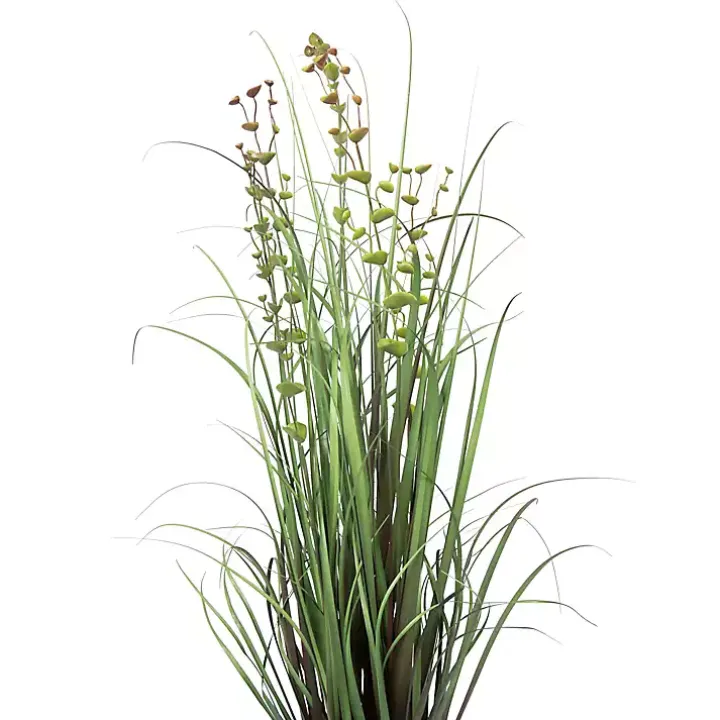 Grass and Eucalyptus Potted Plant