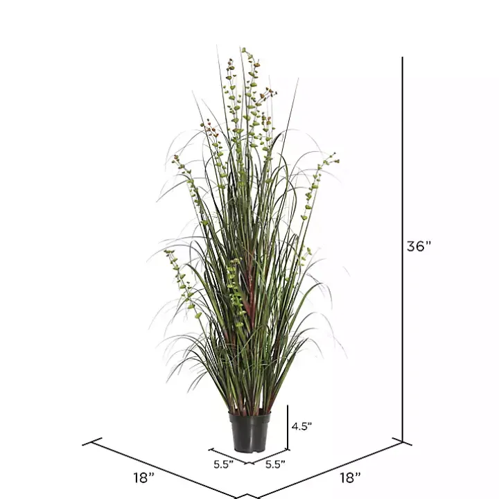 Grass and Eucalyptus Potted Plant