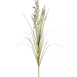 Green and Brown Potted Grass, 36 in.