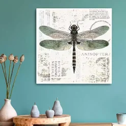 Green Dragonfly Canvas Art Print