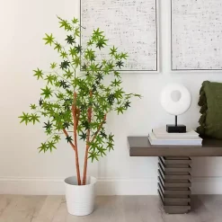 Green Maple Tree in Black Planter