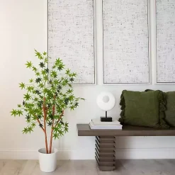 Green Maple Tree in Black Planter