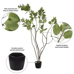 Green Potted Cotinus Coggygria Tree, 4 ft.