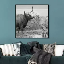 Highland Courting Framed Canvas Art Print