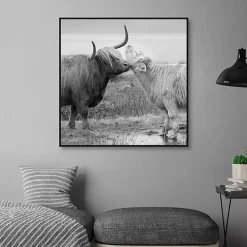Highland Courting Framed Canvas Art Print