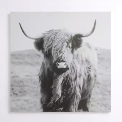 Highland in the Wild Canvas Art Print