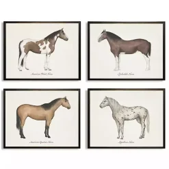 Horses Framed Art Prints, Set of 4
