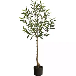 Italian Olive Tree in Black Nursery Planter, 4 ft.