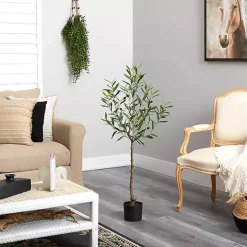 Italian Olive Tree in Black Nursery Planter, 4 ft.
