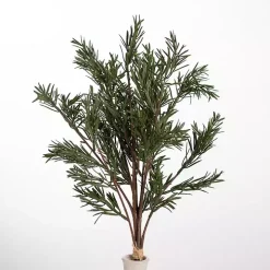 Japanese Pine Stem