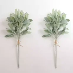Lamb's Ear Bundles, Set of 2