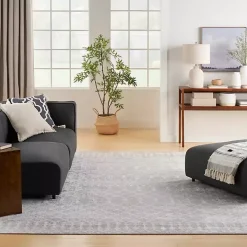 Light Gray Moroccan Washable Area Rug, 7x10