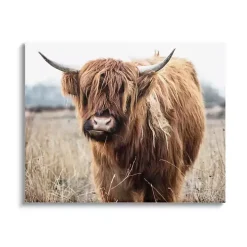 Longhorn in Tall Grass Canvas Art Print, 40x30 in.