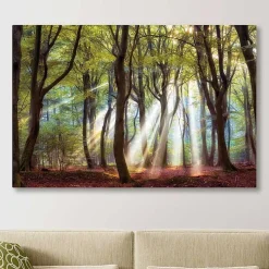 Majestic Morning Giclee Canvas Art Print