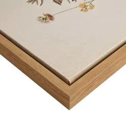 Martha Stewart French Herbarium Framed Art Set