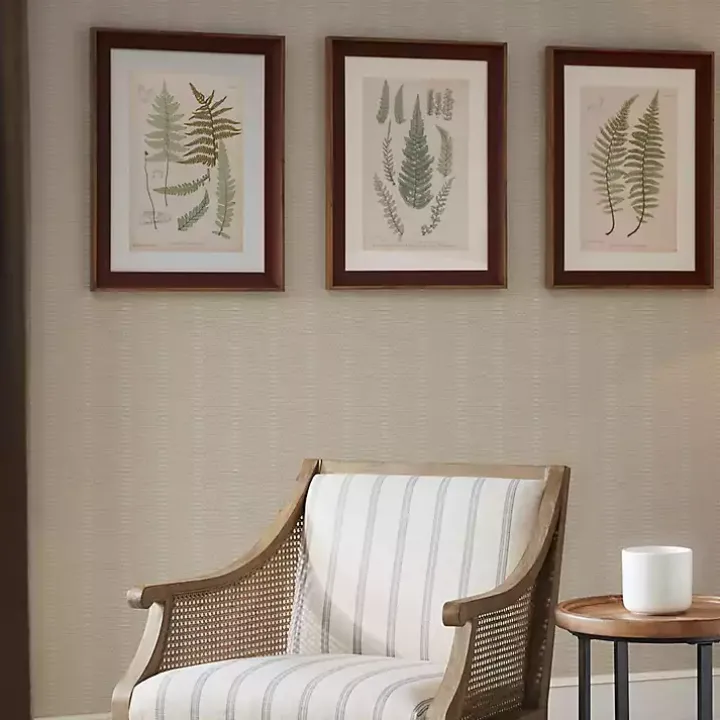 Martha Stewart Lady Fern Framed Art Print Set