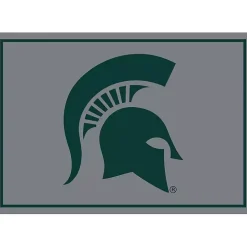 Michigan State Area Rug, 4x6