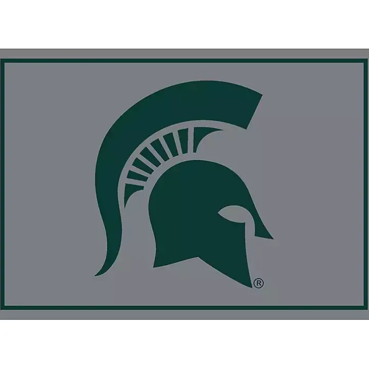 Michigan State Area Rug, 4x6
