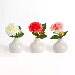 Mini Dahlia in Ceramic Vase Arrangements, Set of 3