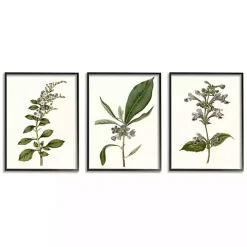 Minimal Soft Flowers Framed Art Prints, Set of 3