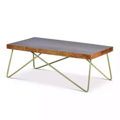 Modern Mango Wood Brass Coffee Table