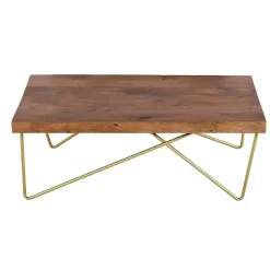 Modern Mango Wood Brass Coffee Table