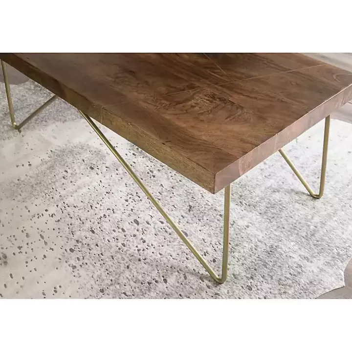 Modern Mango Wood Brass Coffee Table