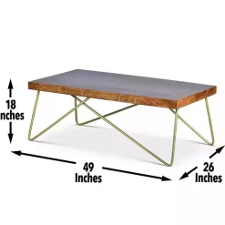 Modern Mango Wood Brass Coffee Table