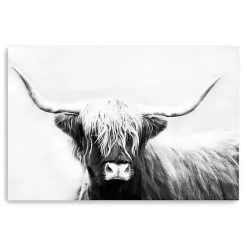 Monochrome Longhorn Canvas Art Print, 60x40 in.