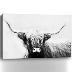 Monochrome Longhorn Canvas Art Print, 60x40 in.
