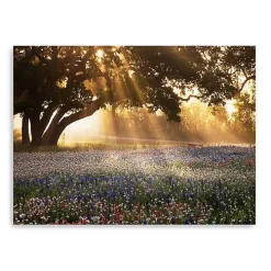 Morning Meadow Giclee Canvas Art Print, 40x30 in.