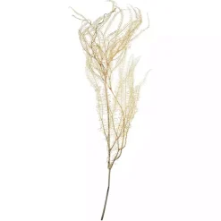 Natural Bleached Andares Fern Stems, Set of 9