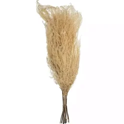 Natural Bleached Andares Fern Stems, Set of 9