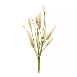 Natural Foxtail Sprays, Set of 6