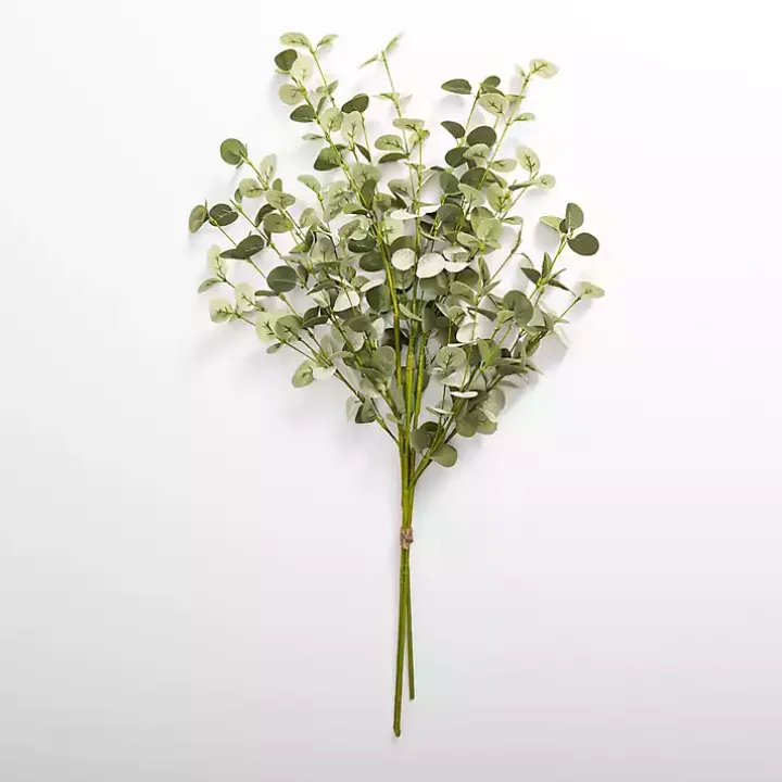 Natural Green Eucalyptus Bundle
