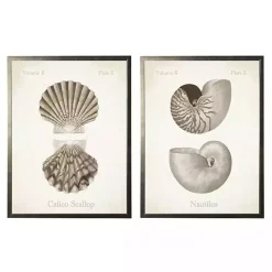 Neutral Seashells Framed Art Prints, Set of 2