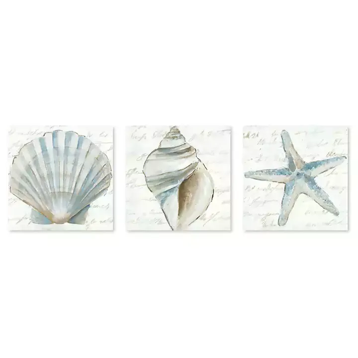 Ocean Treasures Canvas Art Prints, Set of 3