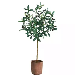 Olive Branch Tree in Weathered Planter, 3 ft.
