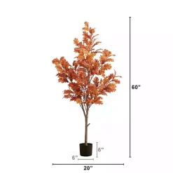 Orange Oak Tree in Black Planter, 5 ft.