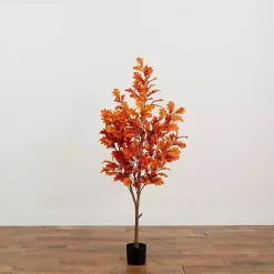 Orange Oak Tree in Black Planter, 5 ft.